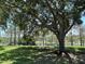 Spacious backyard featuring lush green grass and mature trees overlooking a serene lake at 15917 Hidden Lake Cir, Clermont, FL 34711