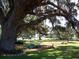 Scenic community park offers benches shaded by mature trees with Spanish moss creating a relaxing and inviting space at 17233 Se 115Th Terrace Rd, Summerfield, FL 34491