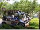 A row of golf carts sits ready for a day on the course, surrounded by mature trees and greenery at 17233 Se 115Th Terrace Rd, Summerfield, FL 34491