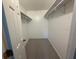 Walk-in closet with carpet flooring and shelving at 17522 Se 96Th Ct, Summerfield, FL 34491