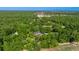 A beautiful property surrounded by lush greenery, mature trees and a private landscape at 20861 Sw 81St Loop, Dunnellon, FL 34431