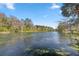 Serene water view featuring clear blue waters, lush trees, and a tranquil natural setting at 20861 Sw 81St Loop, Dunnellon, FL 34431