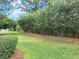 Backyard featuring an edge line of trees and bushes for privacy, plus a healthy green lawn at 2515 Se 19Th Cir, Ocala, FL 34471