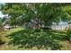 Spacious backyard featuring a large tree, lush green lawn, and a screened-in pool area at 3612 Se 47Th Ter, Ocala, FL 34480