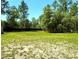 Large backyard with sparse grass, trees, and blue sky above at 7134 Sw 129Th Terrace Road, Ocala, FL 34481