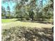 Spacious backyard with green grass and mature trees offers a tranquil setting at 7134 Sw 129Th Terrace Road, Ocala, FL 34481