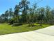 View of lot with partially cleared grassy area, and scattered trees at 7134 Sw 129Th Terrace Road, Ocala, FL 34481