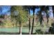 Scenic view of a clear, green river surrounded by lush, green trees and Spanish moss at 7134 Sw 129Th Terrace Road, Ocala, FL 34481