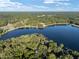 Scenic aerial view capturing a beautiful lake, tree-lined shores, and nestled homes in a tranquil, natural setting at 754 Se 167Th Court Rd, Silver Springs, FL 34488