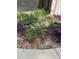 Close up of the landscaping, showing small green and purple plants in the front of the home at 1325 Nw 73Rd Ter, Ocala, FL 34482