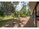 Expansive backyard with mature trees and greenery leading down to the lakefront at 23797 Ne 189Th St, Fort Mc Coy, FL 32134