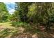 Backyard view showcasing a metal frame structure, surrounded by lush greenery and plants, and ample space at 23797 Ne 189Th St, Fort Mc Coy, FL 32134