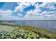 Scenic lake view showcasing calm waters and lily pads under a beautiful blue sky at 23797 Ne 189Th St, Fort Mc Coy, FL 32134