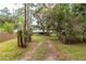 Inviting entrance to the property with a long driveway framed by lush trees and greenery at 23797 Ne 189Th St, Fort Mc Coy, FL 32134