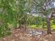 Spacious backyard featuring mature trees and an outdoor dining area for relaxing and entertaining outdoors at 2580 Se 157Th Lane Rd, Summerfield, FL 34491