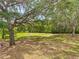 Lush backyard with mature trees and open green space, creating a serene and private outdoor oasis at 2580 Se 157Th Lane Rd, Summerfield, FL 34491