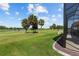 Expansive backyard with lush green grass, mature palm trees, and picturesque golf course views at 5728 Sw 90Th Court Rd, Ocala, FL 34481