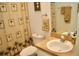 Cozy bathroom features a toilet, vanity with a sink, and a decorative shower curtain at 8735 Sw 192Nd Court Rd, Dunnellon, FL 34432