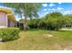 Spacious backyard with lush lawn and mature trees offering privacy and shade at 10016 Sw 62Nd Cir, Ocala, FL 34476