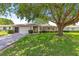 Charming single-story home with well-maintained landscaping, a large shade tree, and an attached garage at 10016 Sw 62Nd Cir, Ocala, FL 34476