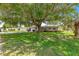 Inviting single-story home with a sprawling green lawn and mature shade tree that provides ample shade and enhances curb appeal at 10016 Sw 62Nd Cir, Ocala, FL 34476