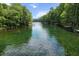 Scenic river view featuring crystal-clear water and lush green vegetation at 11170 Sw 190Th Ave, Dunnellon, FL 34432