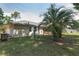 Grassy backyard with some shade trees and tropical landscaping at 1601 Ne 47Th Ct, Ocala, FL 34470