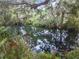 Secluded river view surrounded by lush, dense trees and plant life with reflections on the calm water surface at 19586 Sw 84Th Pl, Dunnellon, FL 34432