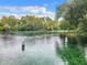 Expansive view of the river featuring clear turquoise water and serene natural surroundings with a blue sky backdrop at 19586 Sw 84Th Pl, Dunnellon, FL 34432