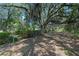 Backyard showcasing mature trees, manicured shrubbery, and open space, creating a peaceful and private outdoor setting at 4701 Nw 60Th Terrace, Ocala, FL 34482