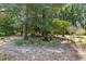 Landscaped backyard featuring mature trees, ornamental plants, and natural ground cover, perfect for outdoor enjoyment at 4701 Nw 60Th Terrace, Ocala, FL 34482