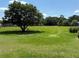 Expansive backyard featuring lush green grass and a large tree, offering ample space for recreation and relaxation at 6925 Nw Highway 225A, Ocala, FL 34482