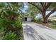 View of a concrete driveway leading to a home with tropical landscaping at 9001 Sw 91St Cir, Ocala, FL 34481