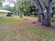 Expansive backyard featuring lots of room to play and relax beneath the shade of mature trees at 22736 Sw 117Th St, Dunnellon, FL 34431