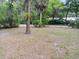 Large, grassy backyard, great for activities, pets, and enjoying the outdoors at 22736 Sw 117Th St, Dunnellon, FL 34431