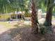 Charming home exterior with lush landscaping and mature palms adding to the curb appeal at 22736 Sw 117Th St, Dunnellon, FL 34431