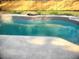Sparkling swimming pool with patterned tile edge and a concrete surround at 3740 Ne 5Th St, Ocala, FL 34470