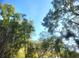 Towering trees provide shade and a tranquil setting at 3740 Ne 5Th St, Ocala, FL 34470