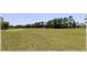 Picturesque golf course view with lush green grass, towering trees and a sand trap at 96 Hickory Crse, Ocala, FL 34472