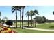 Picturesque golf course view with lush green fairways, palm trees, and manicured landscaping at 11871 Se 91St Cir, Summerfield, FL 34491
