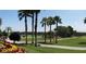 Picturesque golf course view with lush green fairways, palm trees, and manicured landscaping at 11871 Se 91St Cir, Summerfield, FL 34491