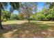 Expansive backyard featuring lush green grass, mature trees, and a fenced perimeter at 12495 Sw 66Th St, Ocala, FL 34481