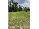 The front yard of this property features open green space at 24 Malauka Ter, Ocklawaha, FL 32179