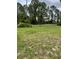 The front yard of this property features open green space at 24 Malauka Ter, Ocklawaha, FL 32179