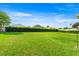 Large grassy backyard with privacy hedge, lawn and mature trees at 4225 Sw 57Th Ave, Ocala, FL 34474