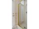 A close up of the shower with glass doors and gold trim, offering a luxurious bathing experience at 4812 Se 12Th Pl, Ocala, FL 34471