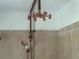 Unique shower feature with body jets and hand shower, creating a spa-like bathroom experience at 4911 Se 135Th Pl, Summerfield, FL 34491