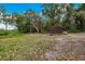 Backyard shed surrounded by green grass, tall trees and fallen leaves at 531 Ne 142Nd Ave, Silver Springs, FL 34488