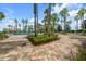 Relaxing poolside with palm trees, comfortable lounge chairs, and a shaded picnic area at 6051 Sw 93Rd Cir, Ocala, FL 34481