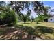 Spacious backyard featuring lush greenery, mature trees, and plenty of shade at 13385 Ne 10Th Ct, Citra, FL 32113